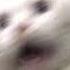 Can T Remember To Forget You Shakira Sped Up