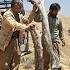Suffering And Love In The Heart Of Zagros A Nomadic Man And The Fight For Family Warmth
