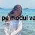 Iuliana Beregoi Modul Vara Versuri Lyrics