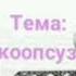 Орт коопсуздугу