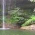 Sonido De Lluvia Y Los Animales Del Bosque HD Lluvia Relajarse Dormir