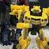 Bumblebee Sings A Song