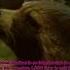 Repeated 1000 Times To Say Three Words Facts Movie Shorts Iamgroot