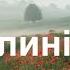 На долині туман Cover