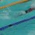 50m Papillon Finale C Barthélémy Cloé L7 Falzon Elodie L5