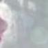 Hiccstrid Bilder Video 3
