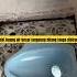 Momen Lucu Ketika Buang Air Besar Kloset WC Nya Bikin Ngakak Ngakak Lucu Unik Kreatif Kocak