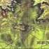 Llibre Vermell Stella Splendens In Monte 14th C Spain