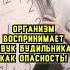 Звук будильника опасен