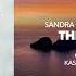 PREMIERE Sandra Collins Micke Thirteen Quivver Remix DISSIDENT MUSIC