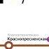 Информатор Кольцевой линии Московского метро