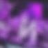 NXGHT SH3RWIN Scythermane DANÇA DO VERÃO Brazilian Funk