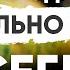 С ними вода в аквариуме будет всегда кристально чистой