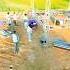 Exam Dene Ke Baad Hm Log Dj Dance Ytshorts Song Viralvideo Djremix Rajasthani
