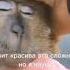 БАНКОМАТ Remix ускоренная Speed Up