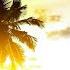 Tropical Deep House Summer Mix 2025