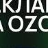 ВСЕ что вы хотели знать О РЕКЛАМЕ на Ozon Как попасть в ТОП 2024