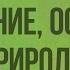 Восточная Сибирь Географическое положение основные черты природы Видеоурок по географии 9 класс