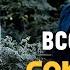 Детективный сериал Соколова подозревает всех C Ириной Рахмановой 1 4 сезоны все серии