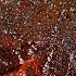 Make Texas Style Ribs Like A Top Barbecue Restaurant