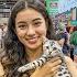 Asia Cat Expo 2025 Singapore Biggest Cat Lovers Paradise At Suntec City