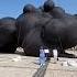 Installation Art Black Cloud By Oleksiy Sai At The Sophia Square In Kiev