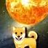 Chand Par Sabse Pahle Kon Gaya Tha Chanyan Chand Shorts