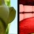 WHAT S INSIDE THE LIN GANG MELON MOSNTER In Garry S Mod