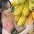 Come Pick Fruits This Summer Is There Anything You Want To Pick Fruit Agriculture