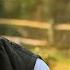 Escape To The Country Season 15 Episode 2 Surrey 2014 FULL EPISODE