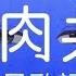 中日歌詞翻譯 MILGRAM ミルグラム 櫻井遙 ハルカ 弱肉共食 第一審MV 後附Haruka角色介紹 Full Lyrics 中文字幕