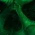 HIGH TECH MINIMAL TECHNO Boris Brejcha Hozho Deniz Bul Pastiche Adonis FR Dj Set By Van Crusherr