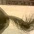I Spread My Wings And I Ll Learn How To Fly