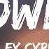 Miley Cyrus Flowers Lyrics