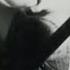 Pixies Monkey Gone To Heaven Official Video