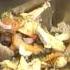 Traveling Gourmet How To Prepare Cream Of Mushroom Soup Master Chef Edouard Loubet