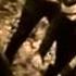 Besatt The Kingdom Of Hatred Official Video