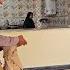 Will The Tension Between Mahtab And Majid Change Family Life