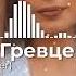Дмитрий Гревцев Кошка Алексин Cover