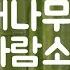 ASMR 편안하고 시원한 대나무숲 바람소리 BAMBOO FOREST SOUNDS 백색소음