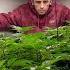 Training For 1 Pound Trees