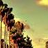 The Mamas The Papas California Dreamin