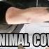 Mission Impossible Animal Cover