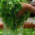 The Most Popular Foods On The Michelin Delicous Food Cooking Facts