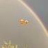 Радуга светит Rainbow радуга