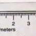 Measuring To The Nearest Cm And Mm