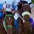Horse баирактар аргымак Rek кыргызстан казахстан р аламан алматы