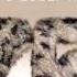 Tarantulaz Renn Stop The World Tarantulaz Club Mix MXM