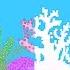What Happens If All The Coral Dies