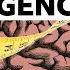 Why IQ Is Not The Same As Intelligence BBC Ideas